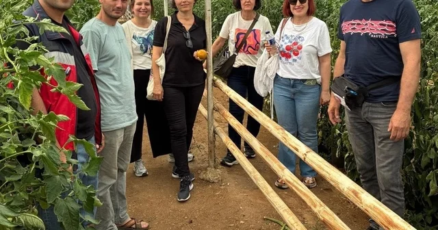 Simav daki seracılara domates hastalıkları ve zararlıları eğitimi Kütahya Haberleri