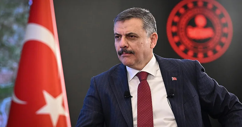 İçişleri Bakanı açıkladı: Yılbaşına kadar sokak köpeği kalmayacak Sözcü Gazetesi