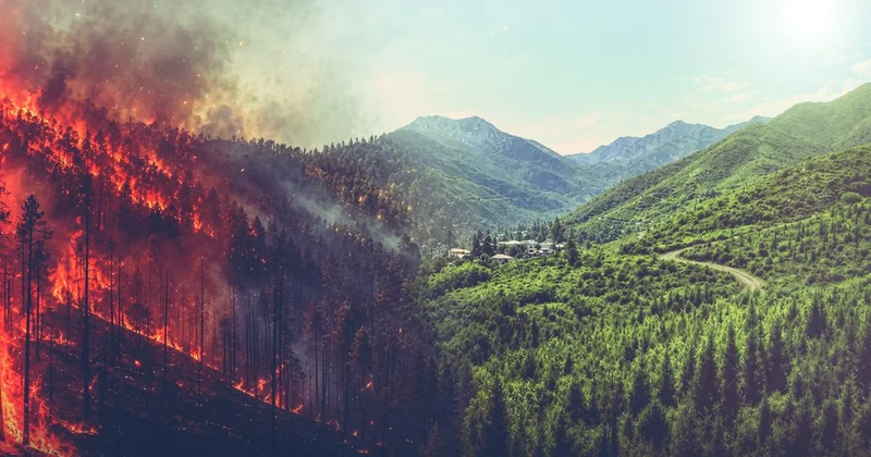 El Nino orman yangını riskini artırıyor