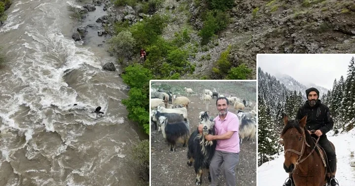 Artvin de feci kaza! Çoruh Nehri’ne düşen otomobilde kaybolan baba oğul için arama çalışması başlatıldı