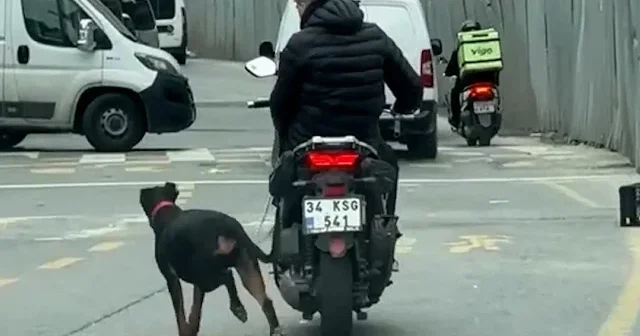 Kağıthane’de tepki çeken görüntü: Köpeği motosiklete bağlayıp metrelerce koşturdu VİDEO İZLE