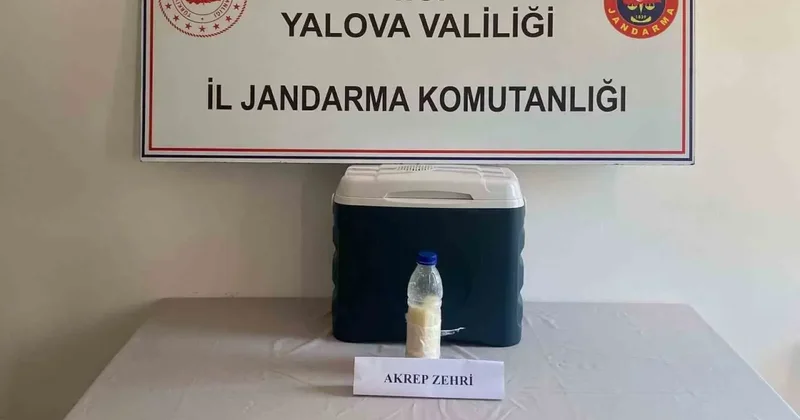 Pet şişe içerisinde bulundu: Değeri 5 milyon dolar!