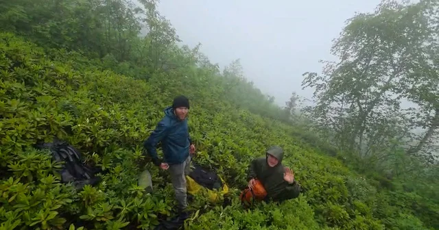 Rize de doğa yürüyüşünde kaybolan 3 Rus turist kurtarıldı; o anlar kamerada Rize Haberleri Habertürk Yerel Haberler
