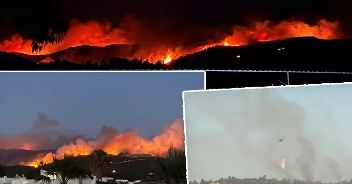 Milas ta orman yangını! Havadan müdahale yeniden başladı... Vali Bıyık: 1120 vatandaşımızı güvenli alanlara tahliye ettik