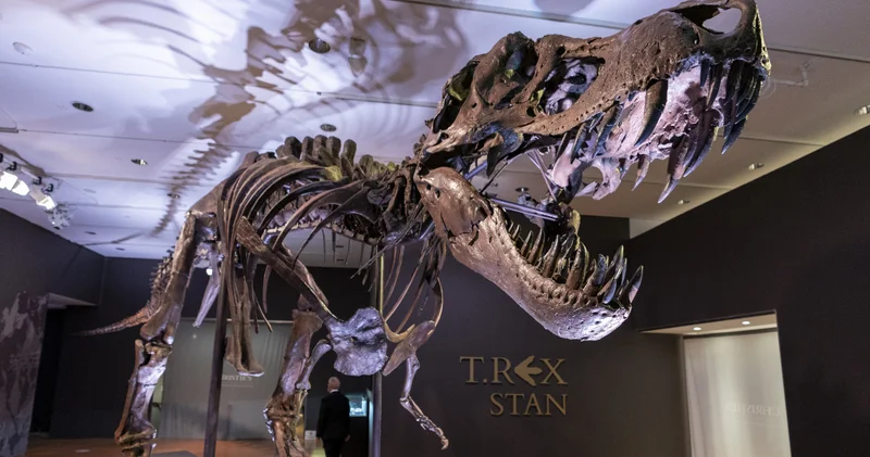 T rex iskeleti 50,1 milyon dolara satılarak rekor kırdı