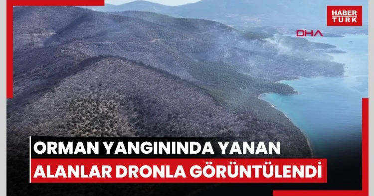 Milas taki orman yangınında yanan alanlar dronla görüntülendi