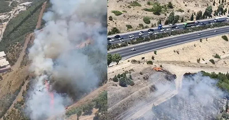 İzmir de otluk alanda çıkan yangın, ormana sıçradı