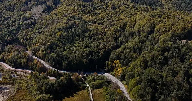 Bolu haberleri Bolu da ormana girişler yasaklandı! Valilik tarih açıkladı 15 Temmuz 2026