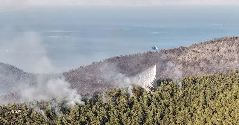 Milas taki orman yangını 2 nci gününde