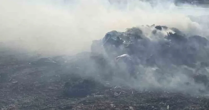Bandırma’da besi çiftliği yakınında otluk alanda yangın