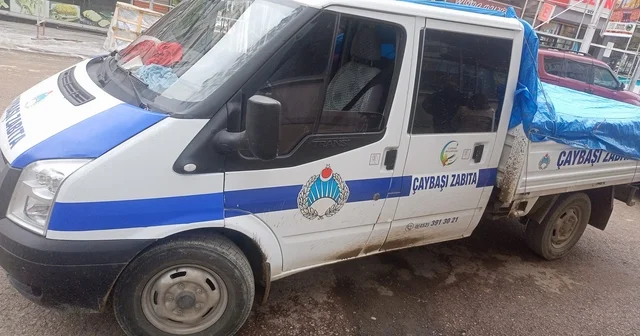 Ordu da sokak hayvanlarını Akkuş ilçesine bırakan 3 kişi yakalandı Ordu Haberleri Habertürk Yerel Haberler