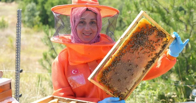 Merakı kadın girişimcinin mesleği oldu, ürettiği bal ve arı sütü için her hafta 900 kilometre yol kat ediyor 5 kovanla üretime başlayan kadın arıcı, azmiyle kovan sayısını 40 çıkardı Kastamonu Haberleri Habertürk Yerel Haberler