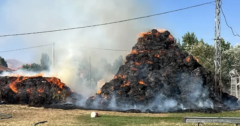 Yüksekova’da 6 bin 500 bağ ot kül oldu