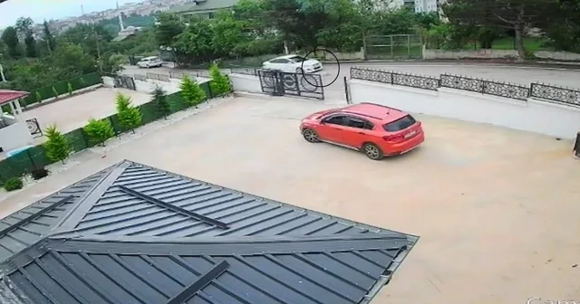 Ordu da otomobilin çarptığı köpek öldü; 10 yaşındaki kız bayıldı Ordu Haberleri Habertürk Yerel Haberler