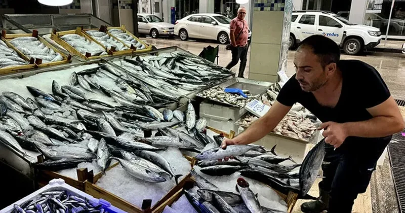 Bu sene tezgahlara erken inecek! Bakan Yumaklı duyurdu: Palamut ve torikte av sezonu başlıyor