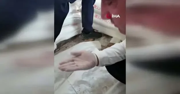 Fare dışkısından ve böcekten geçilmeyen fırındaki dondurucudan paslı keser çıktı