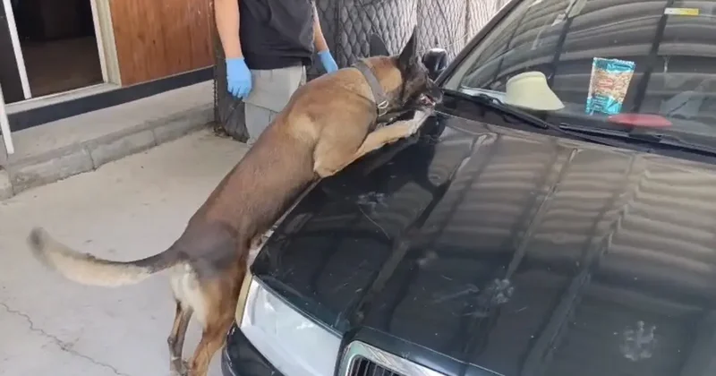 Samsun’da peş peşe uyuşturucu operasyonları: 1 kilo 225 gram metamfetamin ele geçirildi