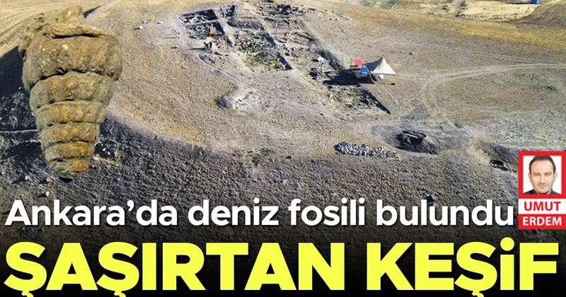 Başkentte şaşırtan keşif: Ankara’da deniz fosili bulundu