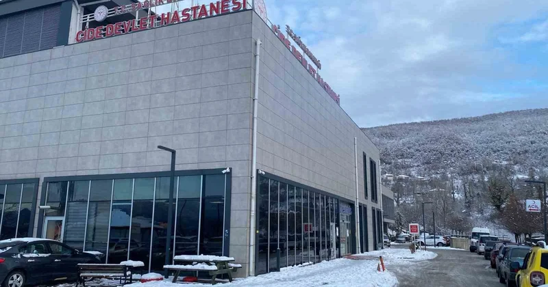 Cide de tüfekle öldürme davası başladı, sanık İ.O. hakim karşısında pişman olduğunu söyledi