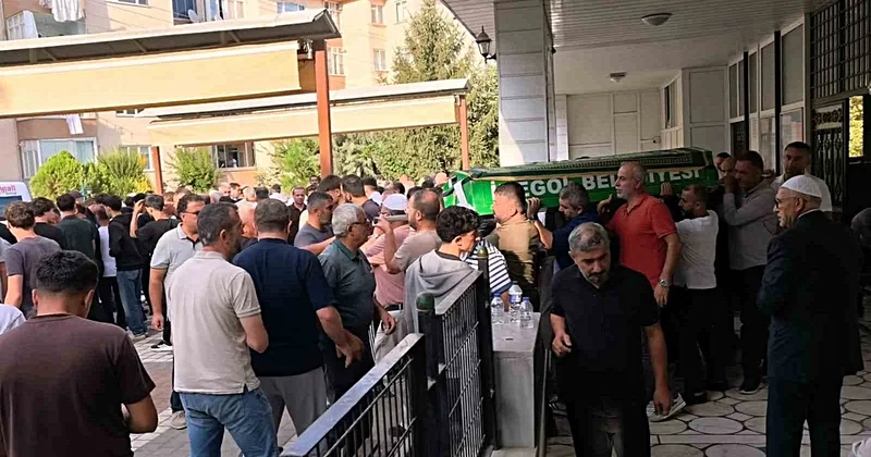 Yenişehir de feci kaza: Alkollü tır şoförü tutuklandı