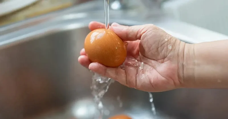 Yumurtada bu işareti görürseniz sakın almayın! Hemen yenisiyle değiştirin