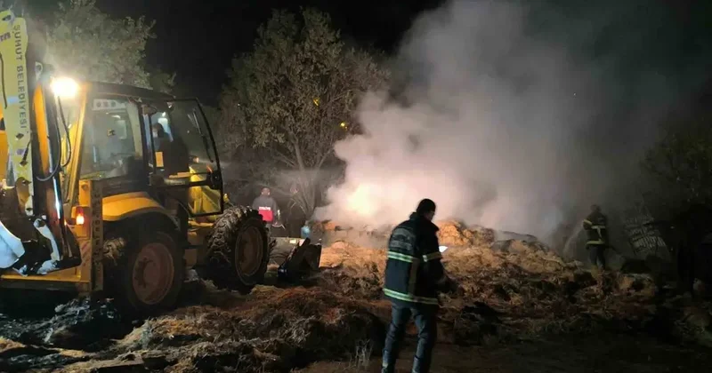 Besihanede yangın felaketi: 6 büyükbaş hayvan telef oldu