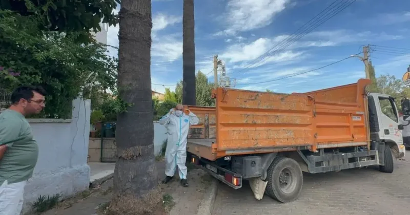 Marmaris teki çöp evden bir kamyon çöp ve 30 a yakın kedi çıktı