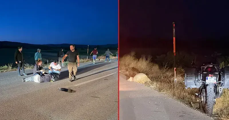 Avrupa turuna çıkan Fransız kadın, motosikletiyle koyunlara çarpıp yaralandı