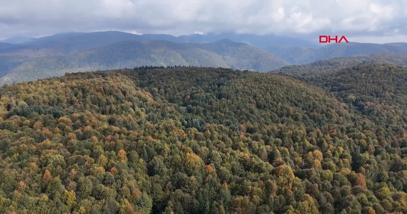 Bolu Dağı nda sonbahar güzelliği