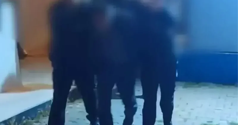 Yılkı atlarını fotoğrafını çekmek isterken kırbaçlı saldırıya uğradılar