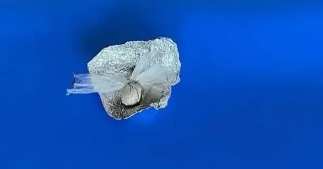 Isparta’da uyuşturucu denetiminde 1 kişiye adli işlem Hayat Haberleri