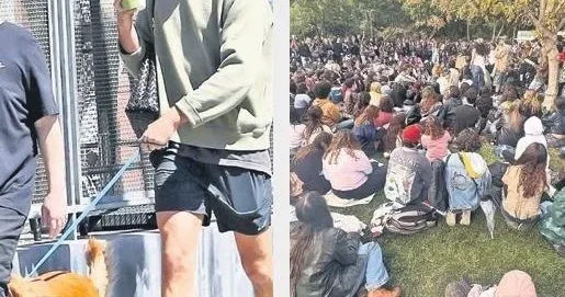 MEVLÜT TEZEL ‘Performatif erkek’ yarışması