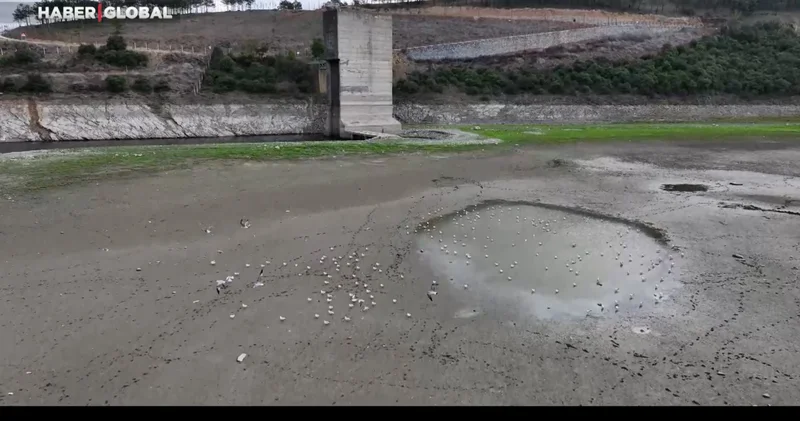 İstanbul un suyu kalmadı mı? Son 65 yılın en kurak yazı yaşandı, tehlike çanları çalıyor