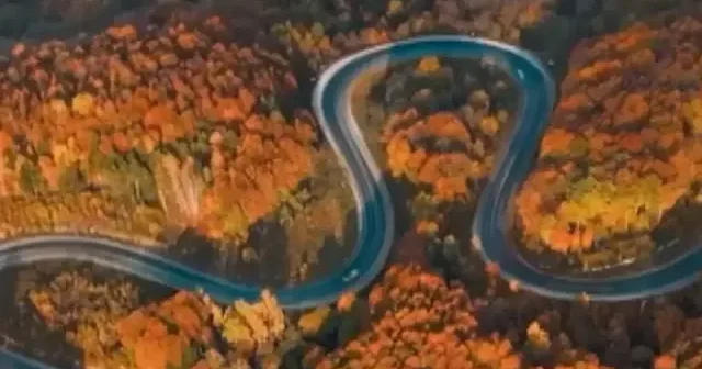 Bursa dan Kütahya ya keyifli bir yolculuk: ‘Kıvrımlı yollar’ sonbaharın gelmesiyle kartpostallık manzaralar oluşturdu VİDEO İZLE