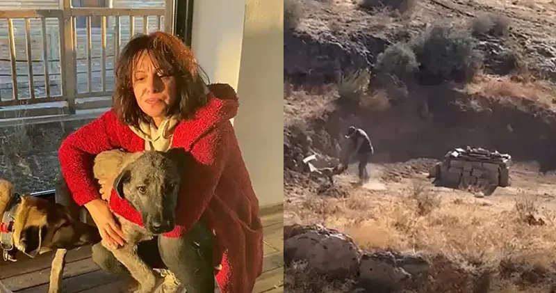 Şiddet uygulayana 6 ay 10 gün hapis cezası verildi, Yiğit adı konulan köpek Bursa daki barınağa gidecek