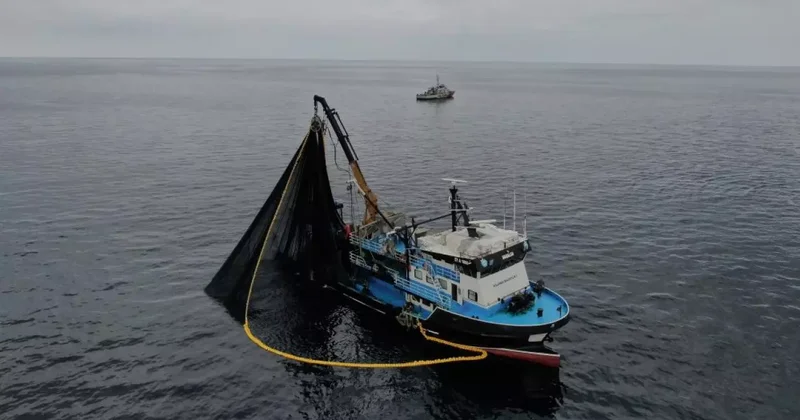Hamside tehlike çanları çalıyor! Karadeniz de stoklar eriyor
