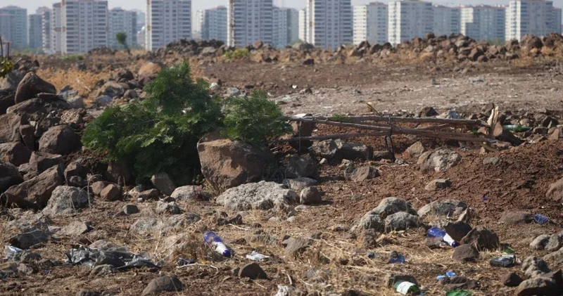 Diyarbakır da sessiz ağaç katliamı!