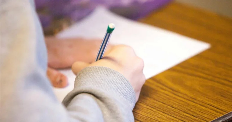 MEB, tarım işçisi ailelerin çocukları için telafi kursları hazırladı