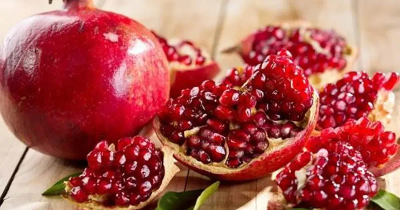 Adıyaman dan Avrupa ya! Nar hasadı başladı