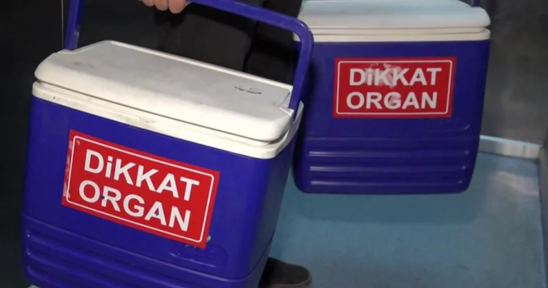 Türkiye de 32 bin 500 kişi organ nakli bekliyor