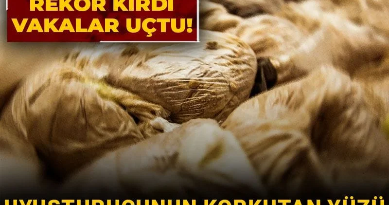 Uyuşturucunun korkutan yüzü Emniyet raporlarından çıktı: Metamfetamin rekor kırdı vakalar uçtu