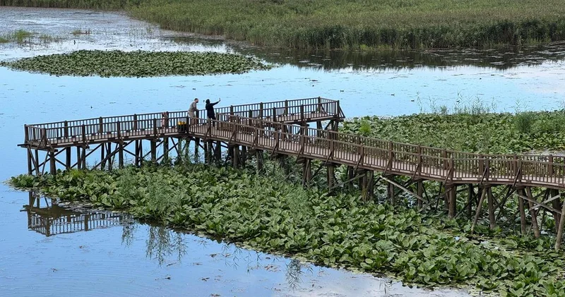 Batı Karadeniz in gizli hazinesi: Düzce