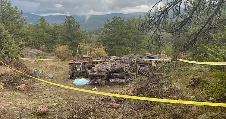 Kastamonu da ormanda dehşet: Köy imamını odunla darbederek öldürdü
