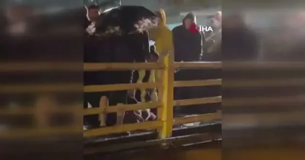 Yalova da sağanak! Yağmurun durması için kurban kestiler