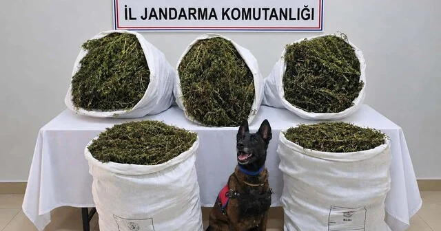 İzmir de 54 kilo 800 gram kubar esrar ele geçirildi: 3 tutuklama İzmir Haberleri Habertürk Yerel Haberler