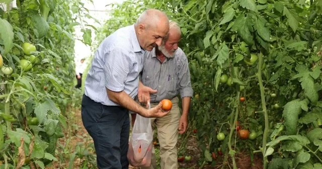 Gebze Belediyesinden çiftçilere tarımsal üretim desteği Kocaeli Haber Habertürk Yerel Haberler