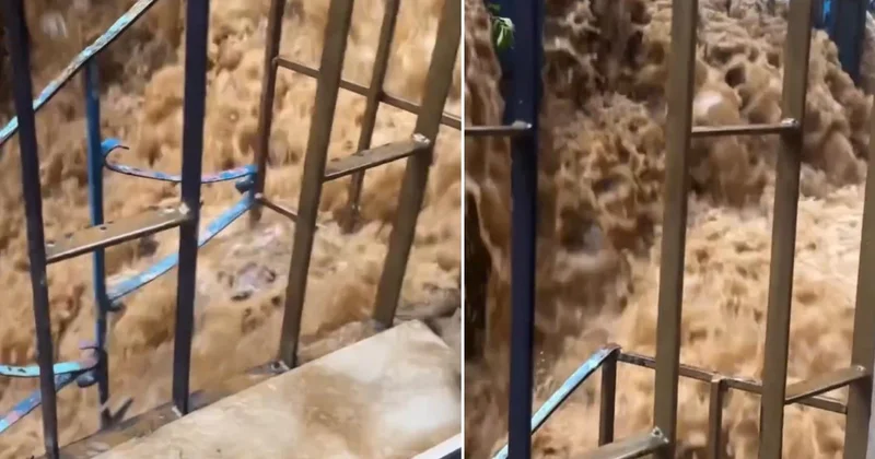 Penceresinden dışarı baktı, gözlerine inanamadı
