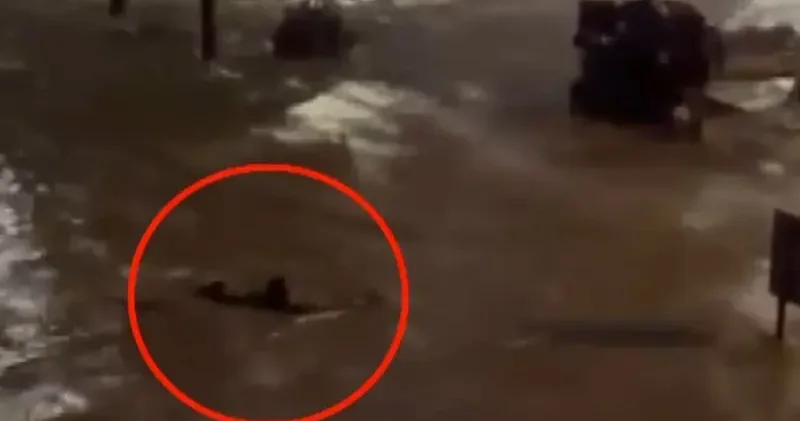 Sarıyer de göle dönen caddede akıntıya kapılmamak için yüzdü