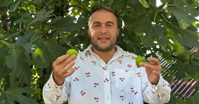 Şubata kadar dalda kalıyor! Kışın ortasında servet topluyorlar!