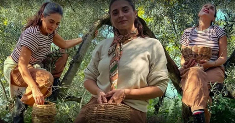 Aslıhan Gürbüz bahçeye girdi... “Bu yıl zeytin yüzümü güldürdü”